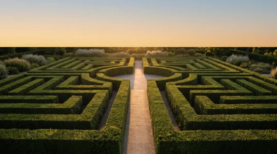 Représentation symbolique d'une arborescence de site web organisée comme un réseau de chemins clairs menant à une porte lumineuse, illustrant une architecture de l'information intuitive